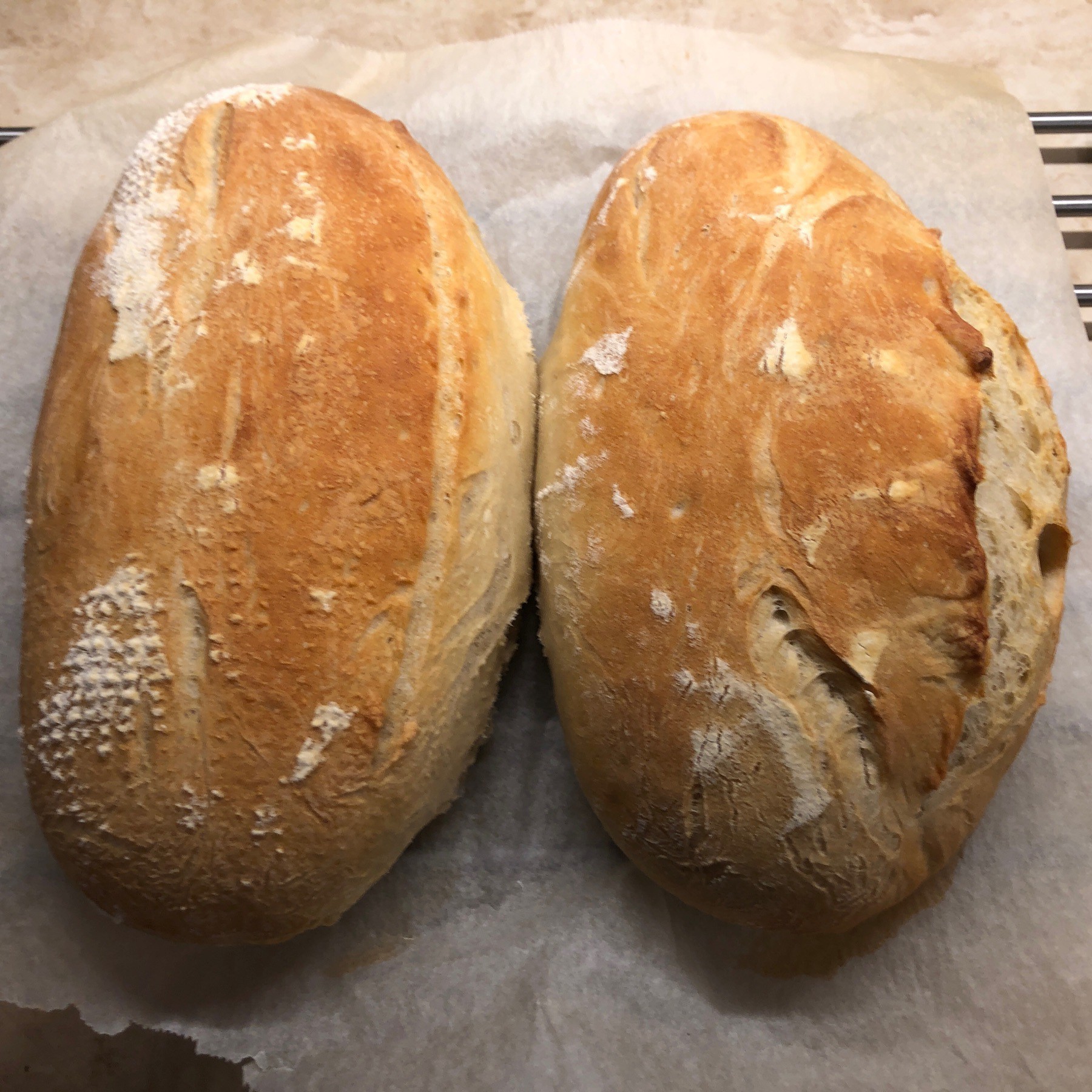 Two loaves of bread cooling on parchment paper. 
