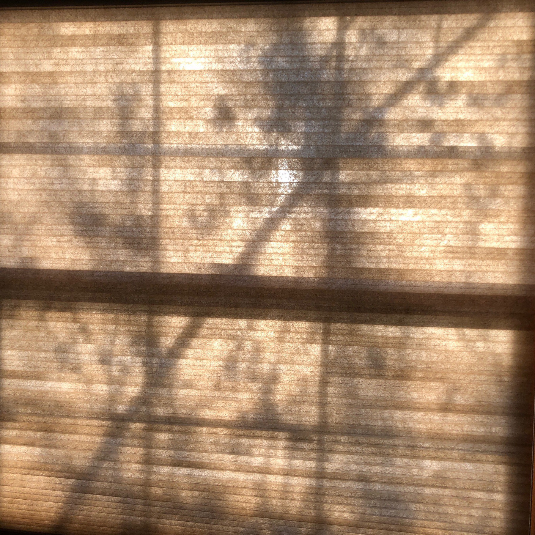 Shadows on window blind.
