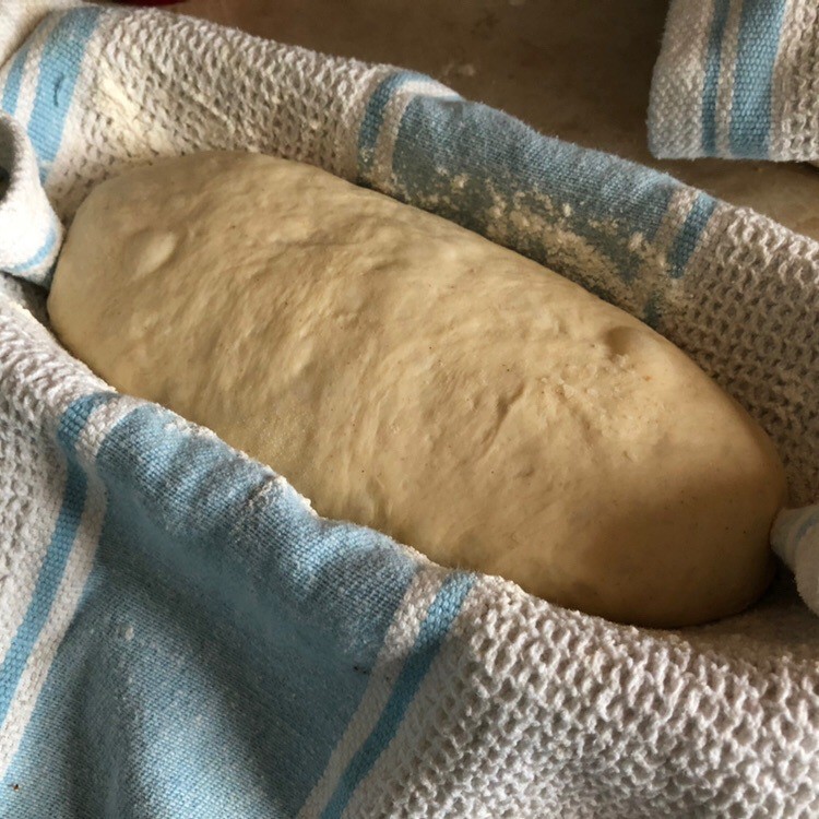 Bread dough rising in banneton. 