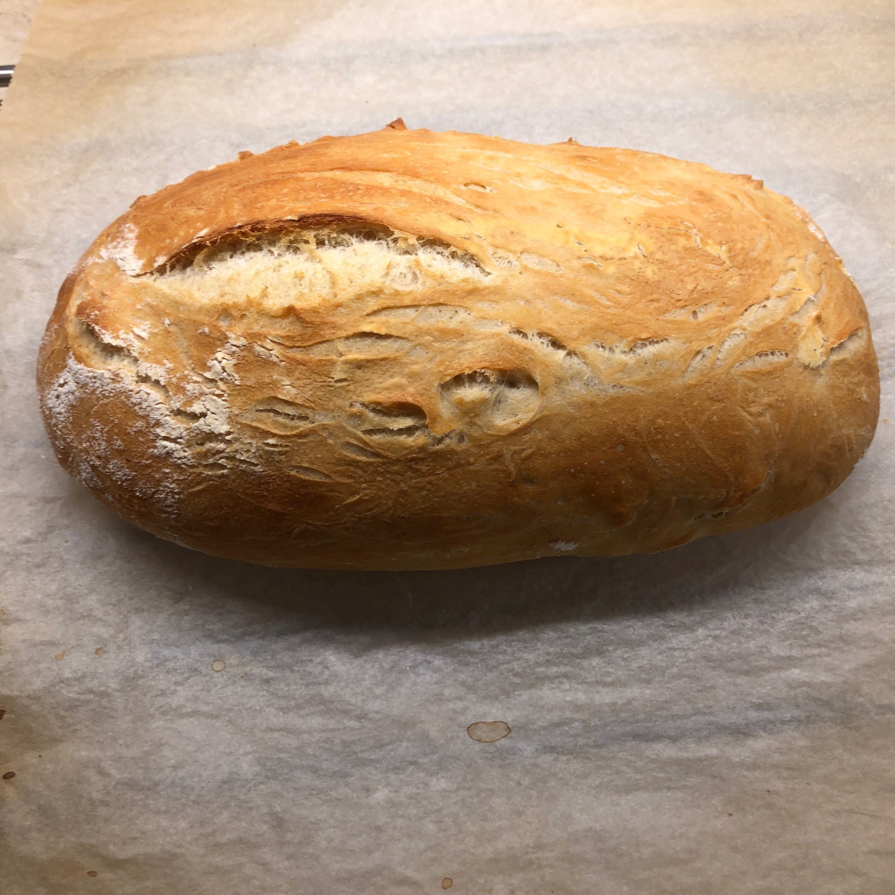 Loaf of rustic bread cooling on parchment paper.