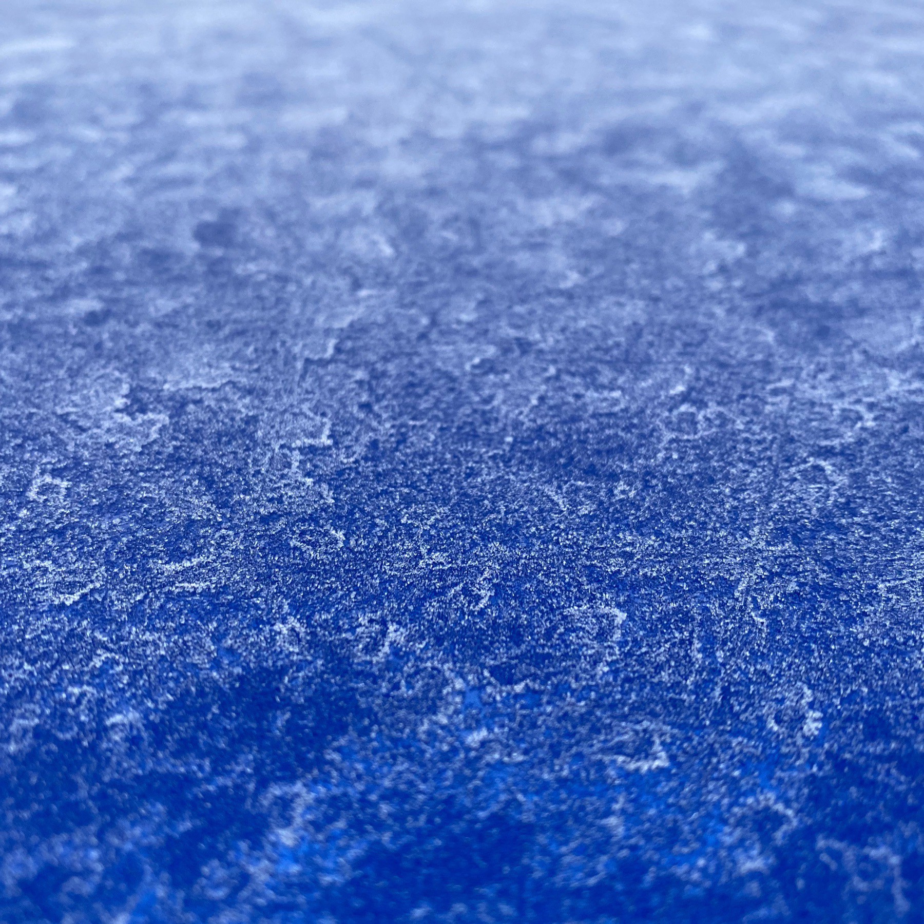 Frost on car roof.
