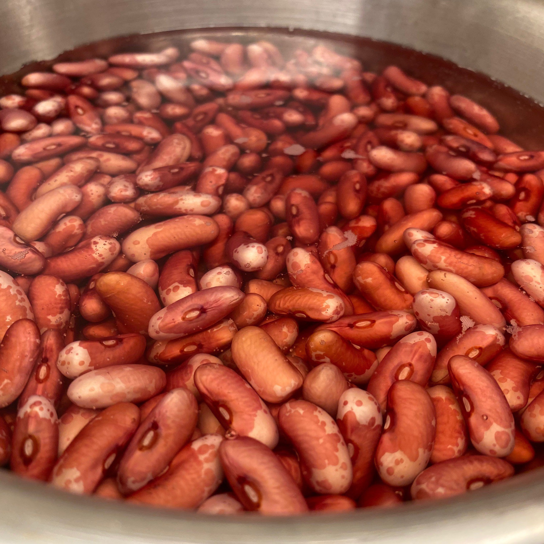 Beans soaking.