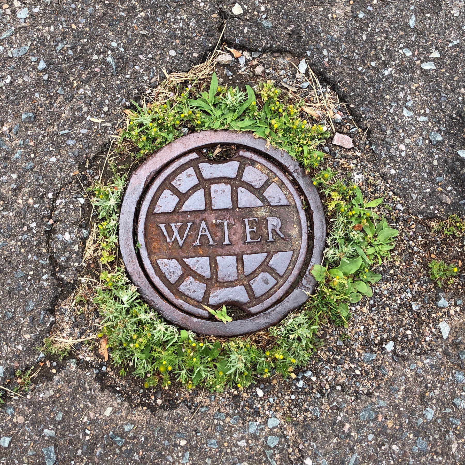 cover on street for water valve.