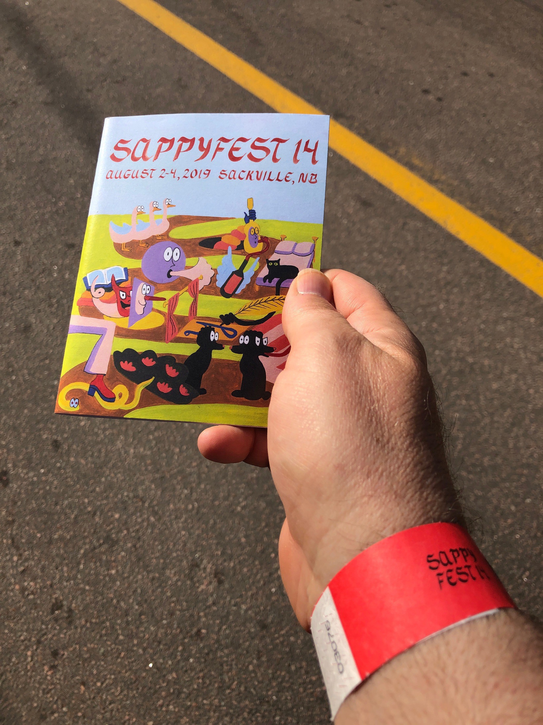 Guidebook, hand, and wristband.
