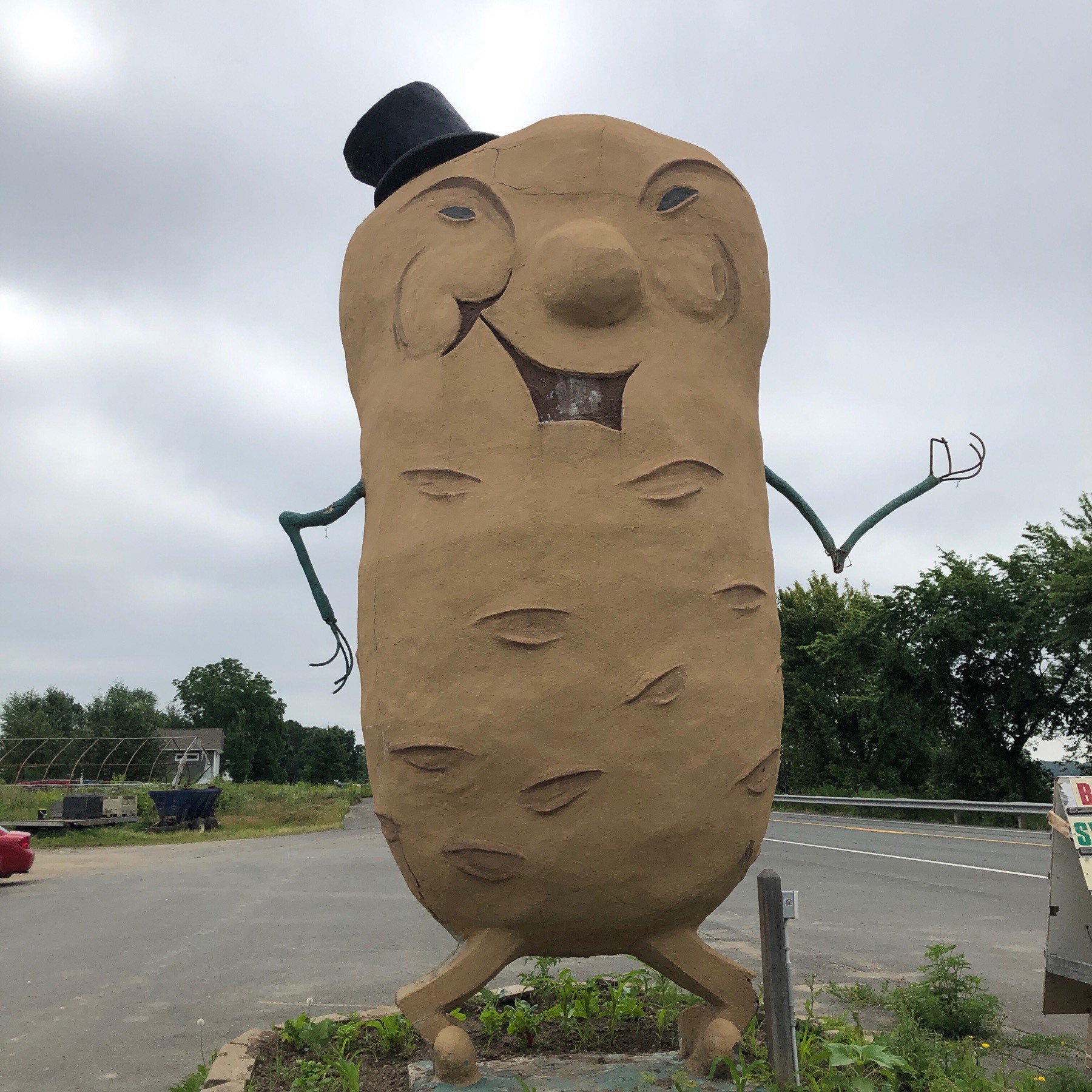 Giant potato person statue. 