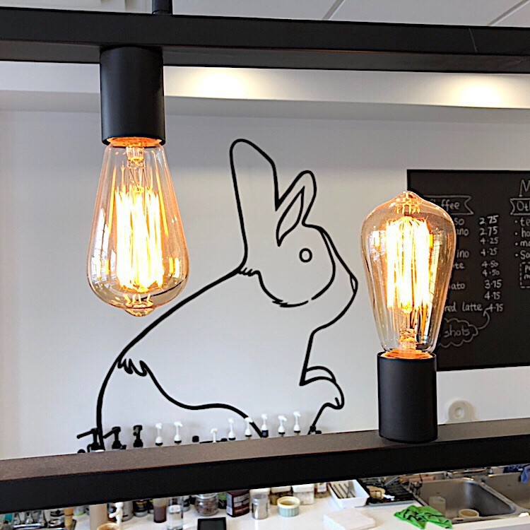 Rabbit drawing on wall and lightbulbs.