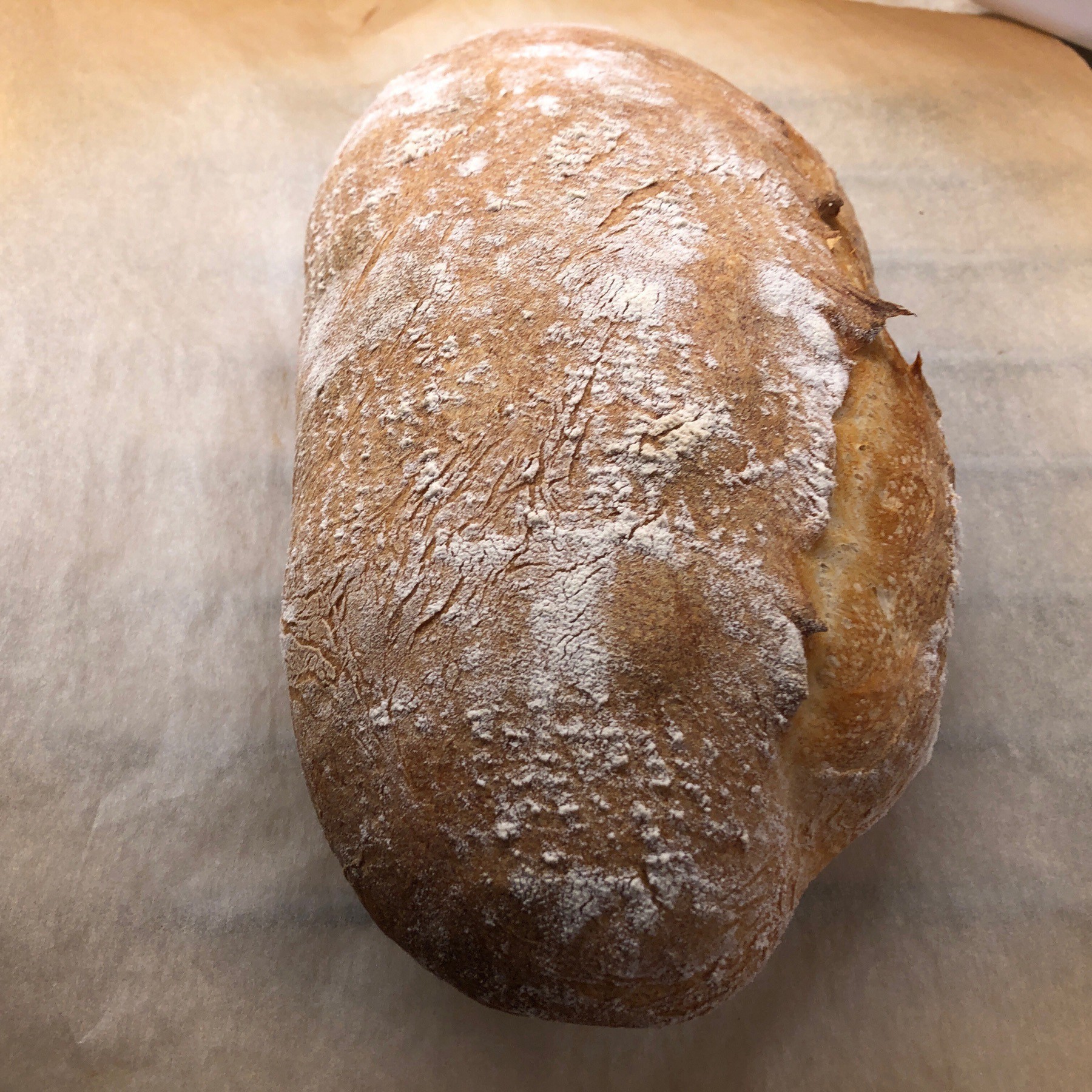 Loaf of sourdough bread.