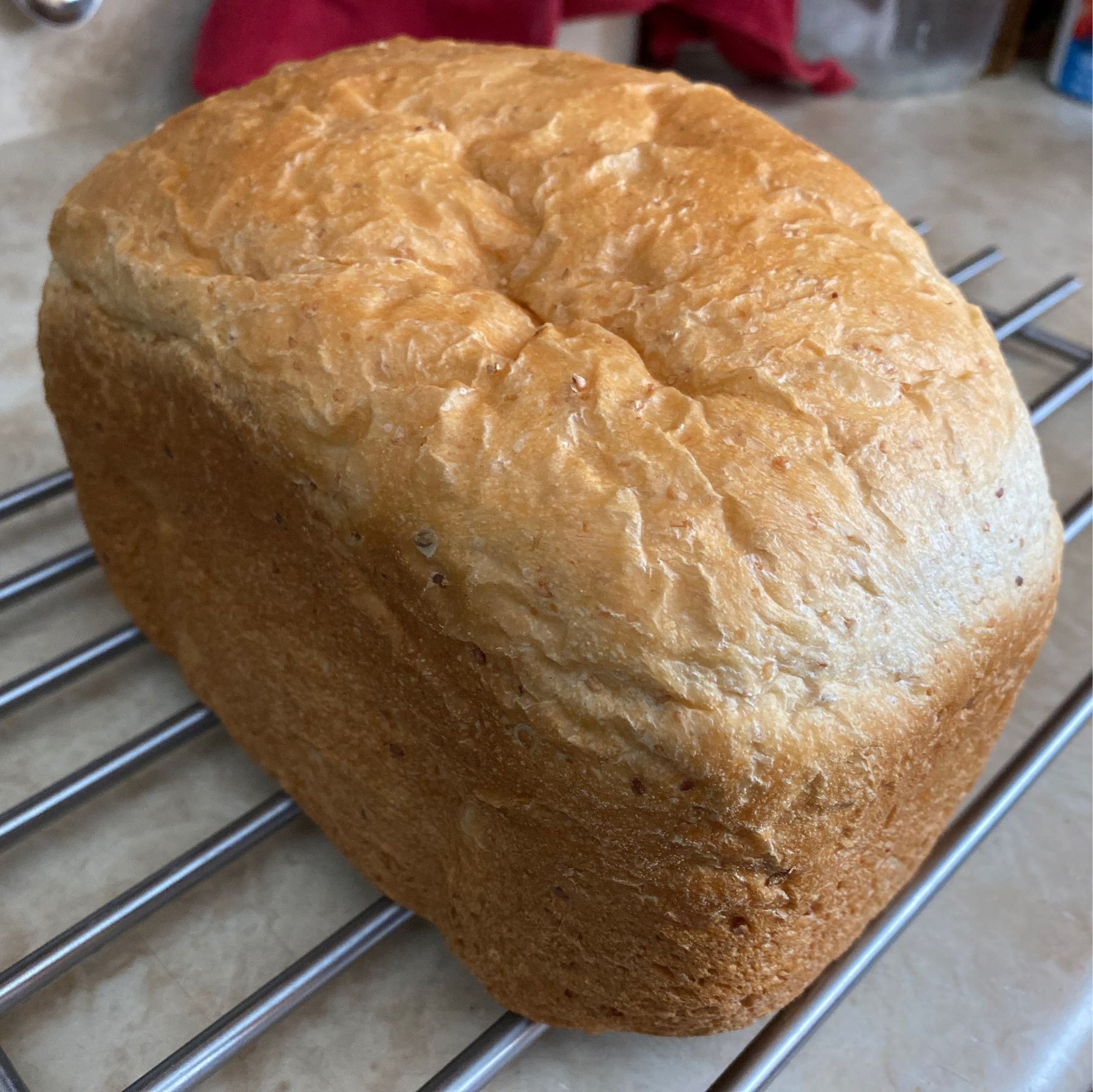 loaf of bread cooling on rack.