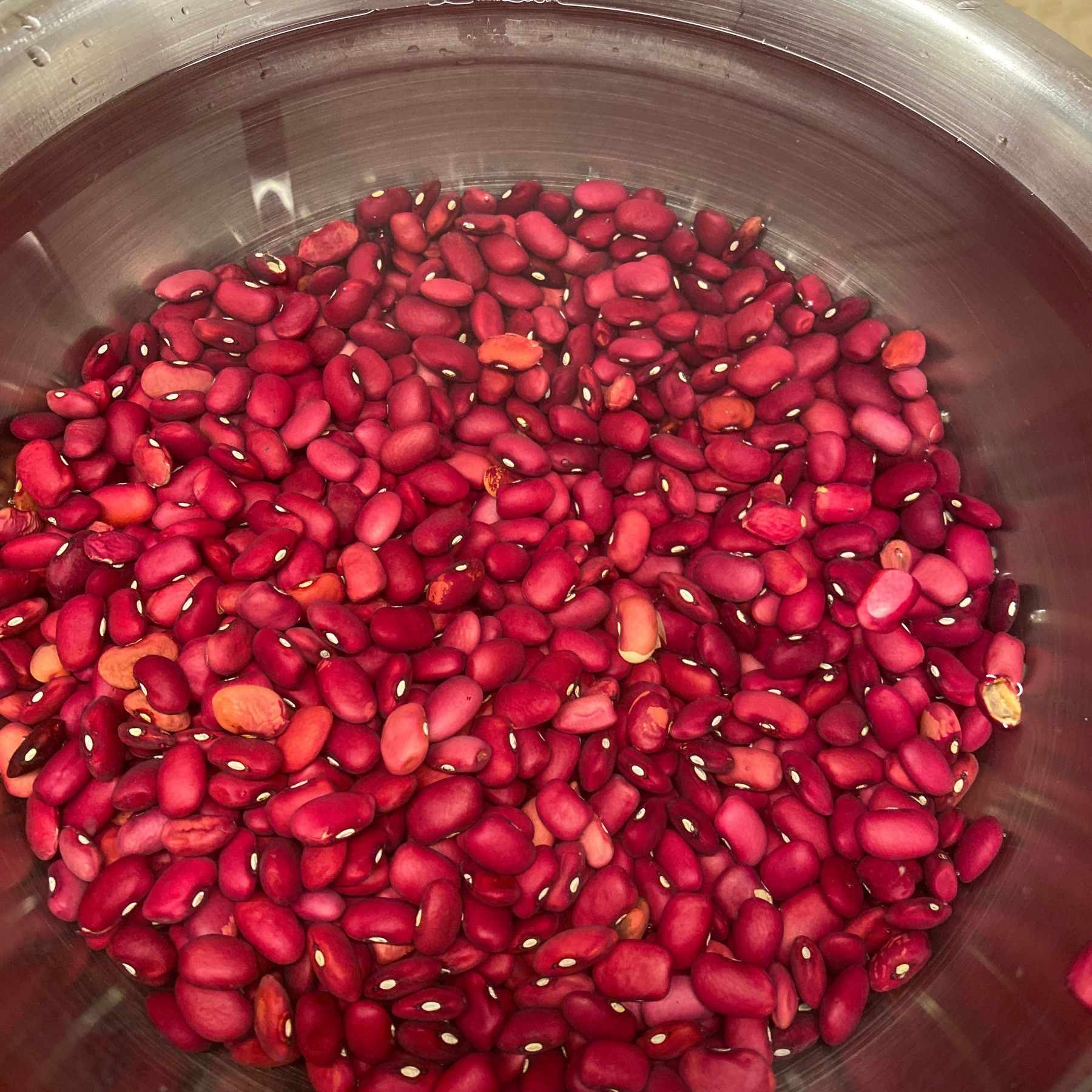 Kidney beans covered in water.